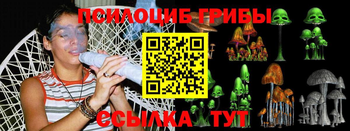 Галлюциногенные грибы Psilocybine cubensis Семёнов