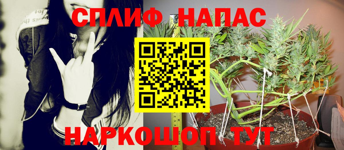 Марихуана план  Марихуана Bruce Banner  Семёнов  Вход с VPN  Марихуана LSD WEED 